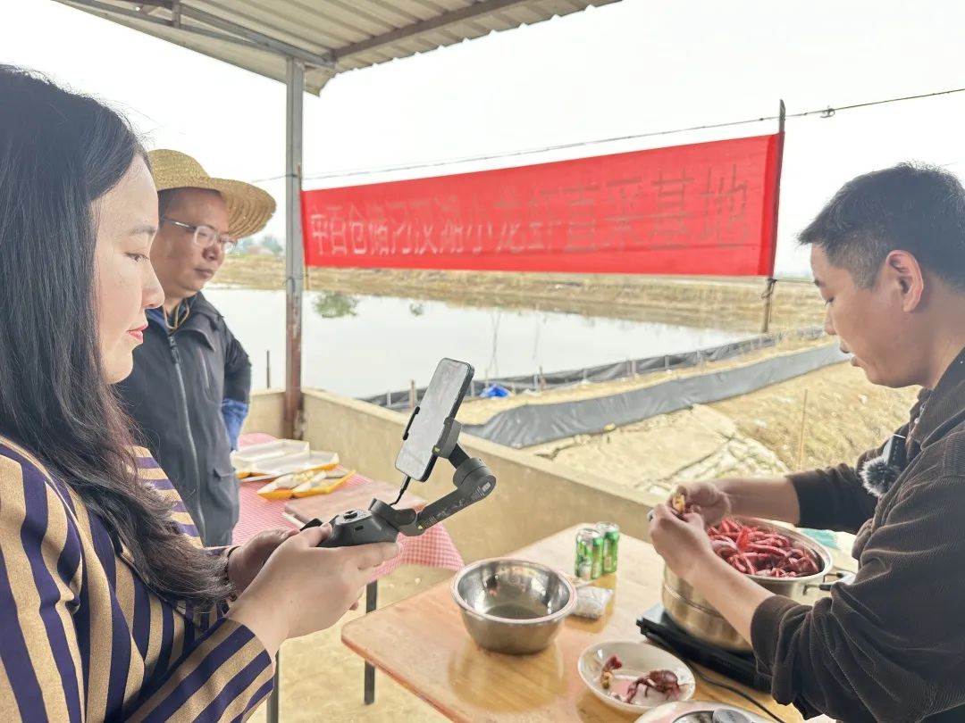 k1���� - ʮ��Ʒ�� ֵ������