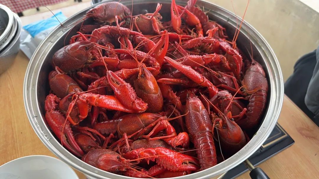 k1���� - ʮ��Ʒ�� ֵ������