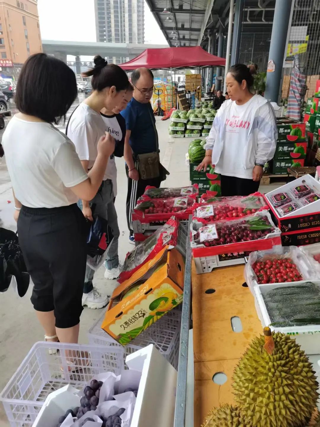 k1���� - ʮ��Ʒ�� ֵ������