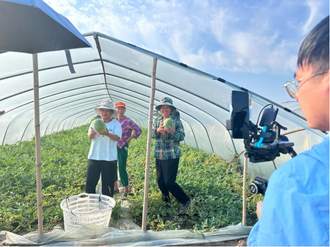 k1���� - ʮ��Ʒ�� ֵ������