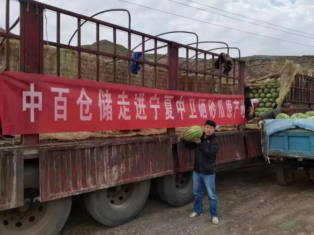 k1���� - ʮ��Ʒ�� ֵ������